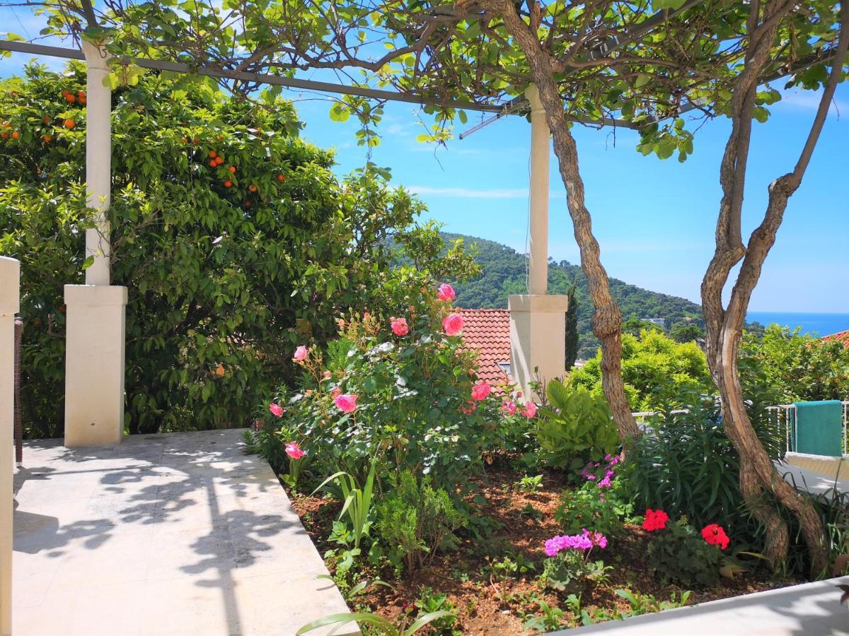 Beautiful Sea View Apartments Dubrovnik Dış mekan fotoğraf